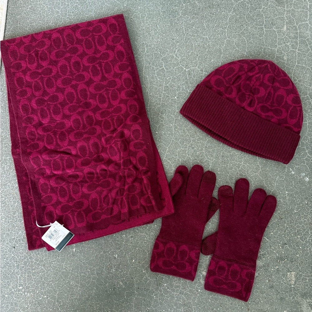 Berry Coach Logo Scarf, Hat, and Gloves Set